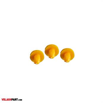 خار رودری پراید